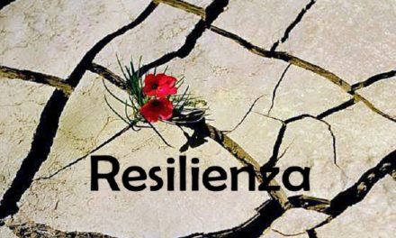 Resilienza : un valore che guida l’organizzazione efficace