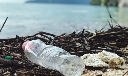 AMBIENTE – Riduzione dell’incidenza di determinati prodotti di plastica sull’ambiente