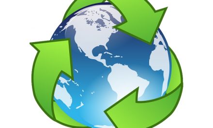 CORSO DI FORMAZIONE – RENTRI- Nuovo sistema per la tracciabilità dei rifiuti. Adempimenti obbligatori, tempistiche e modalità operative